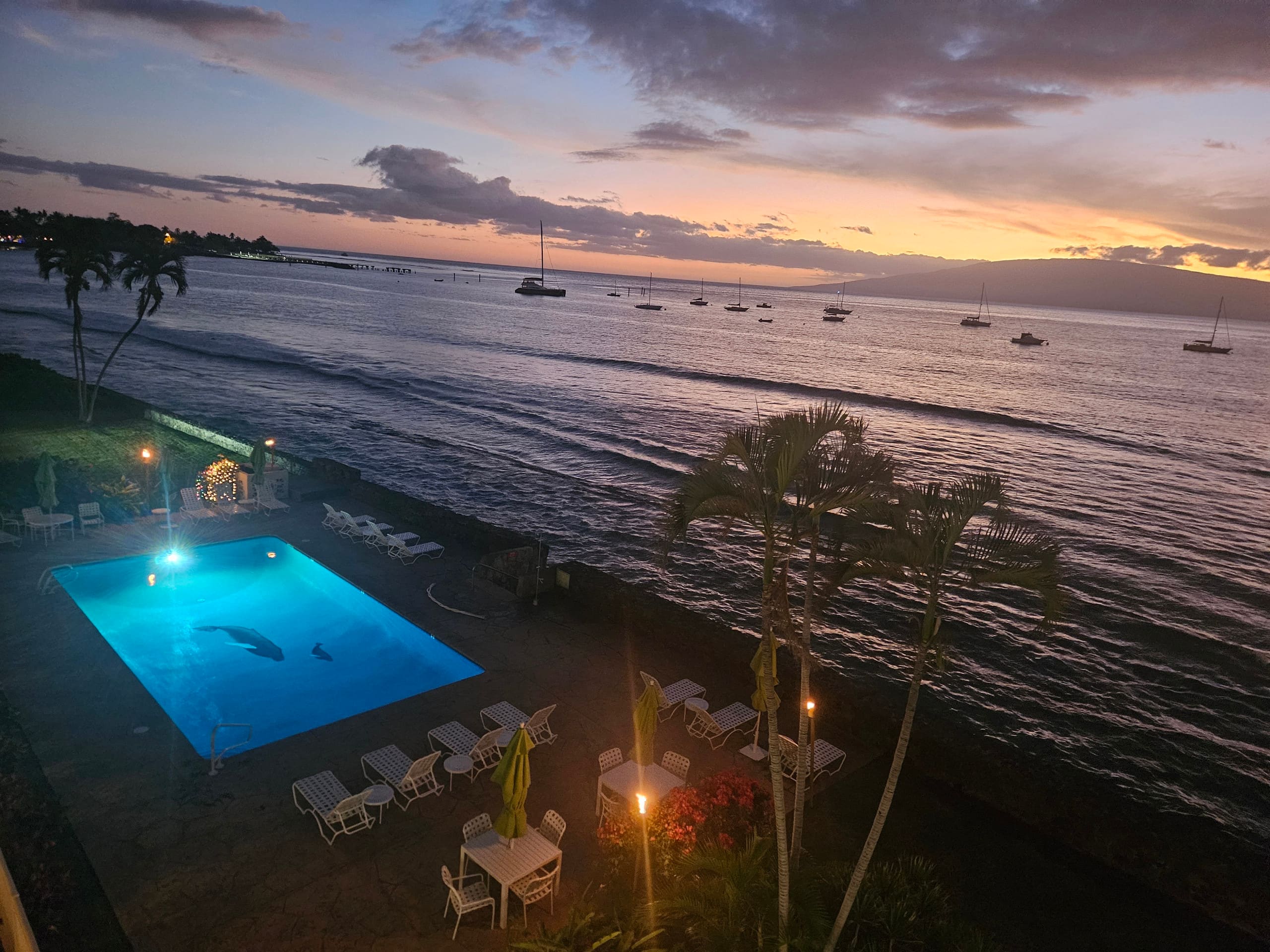 Condo in Lahaina · ★4.96 · 1 bedroom · 2 beds · 1 bath - Image 32