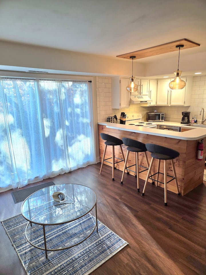 The Bistro Westside Townhouse | 1bd/1bth & Patio - Kalamazoo, MI
