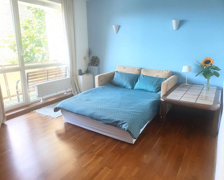 Cosy Home Near The Forest Close To Center - Vilna