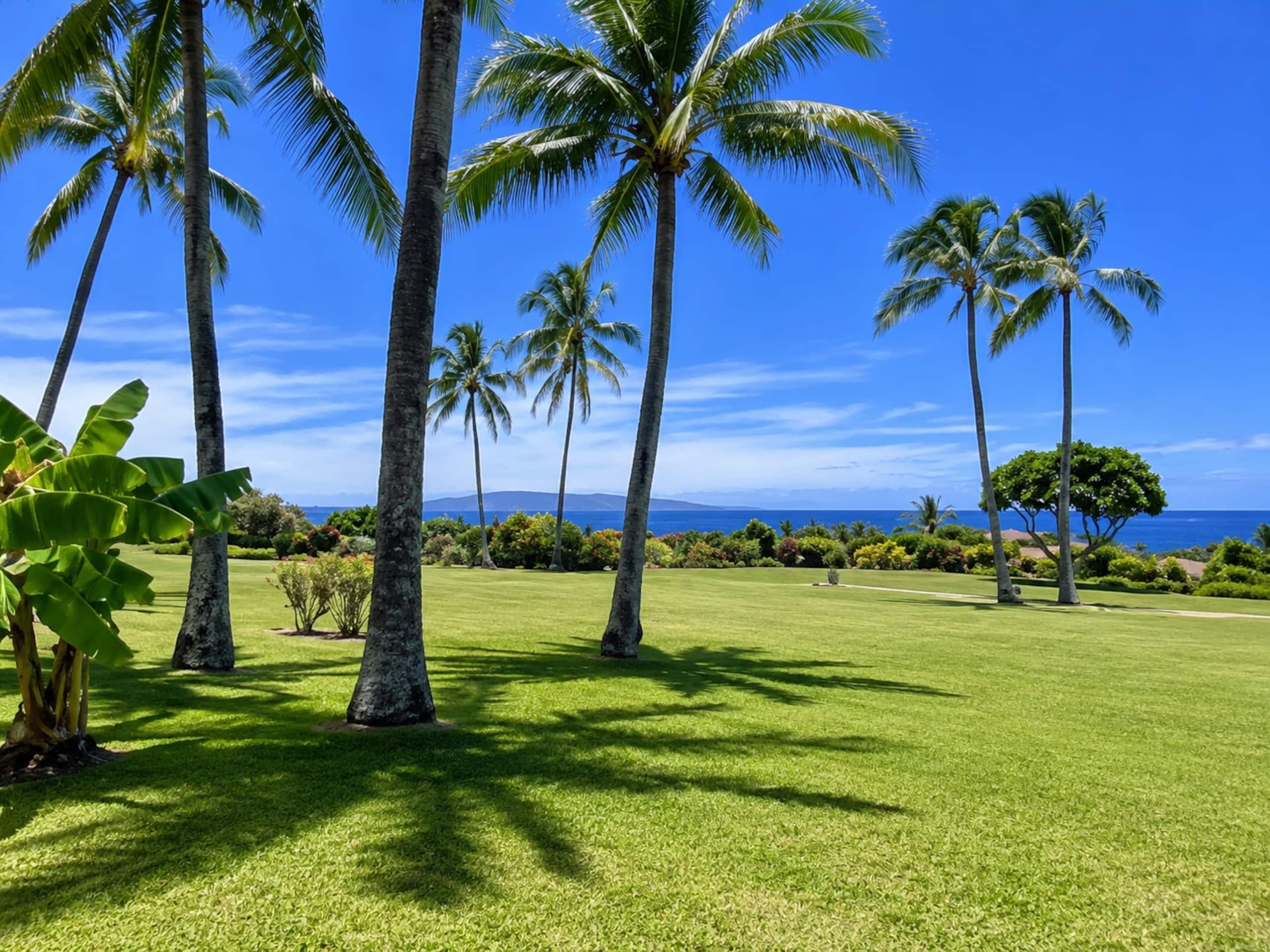 Condo in Kihei · ★4.88 · 2 bedrooms · 2 beds · 2 baths - Image 30