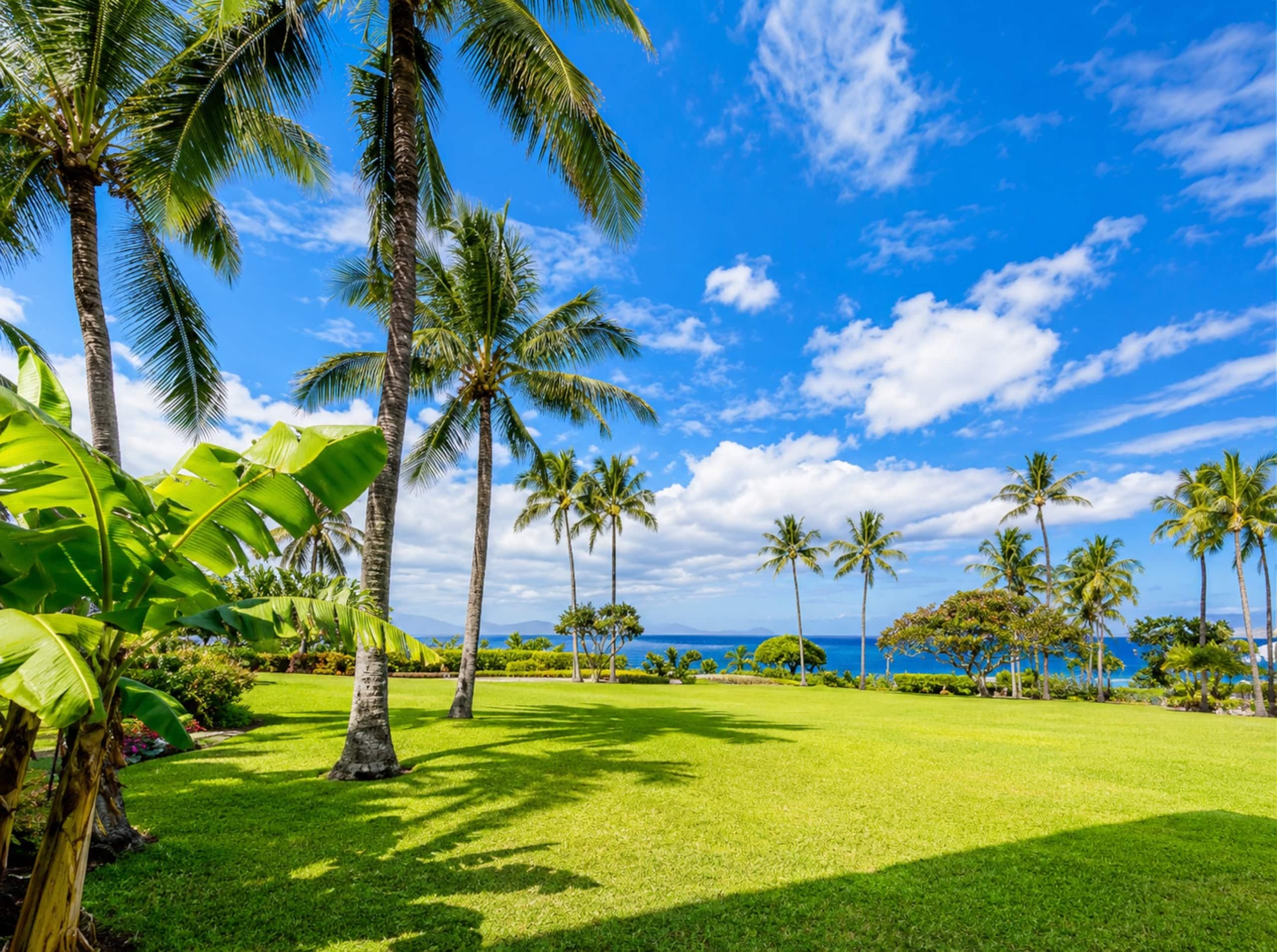 Condo in Kihei · ★4.88 · 2 bedrooms · 2 beds · 2 baths - Image 22