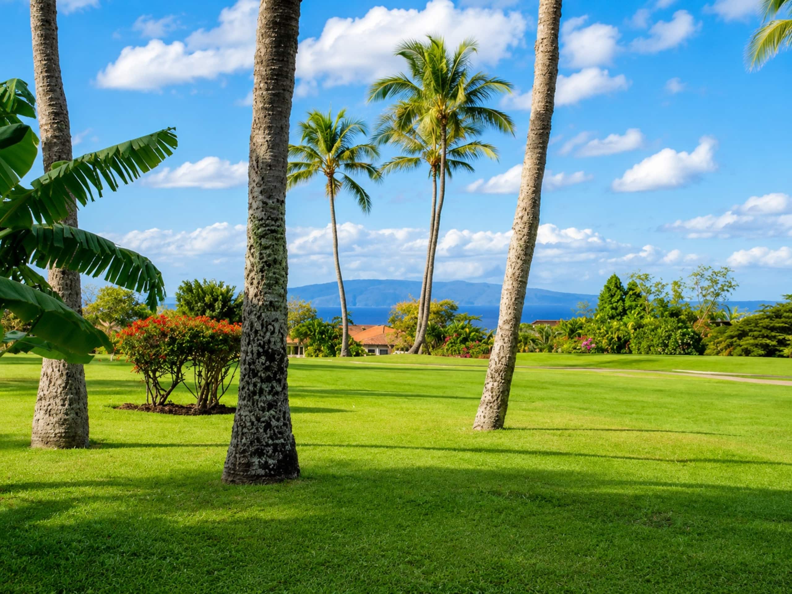 Condo in Kihei · ★4.88 · 2 bedrooms · 2 beds · 2 baths - Image 28