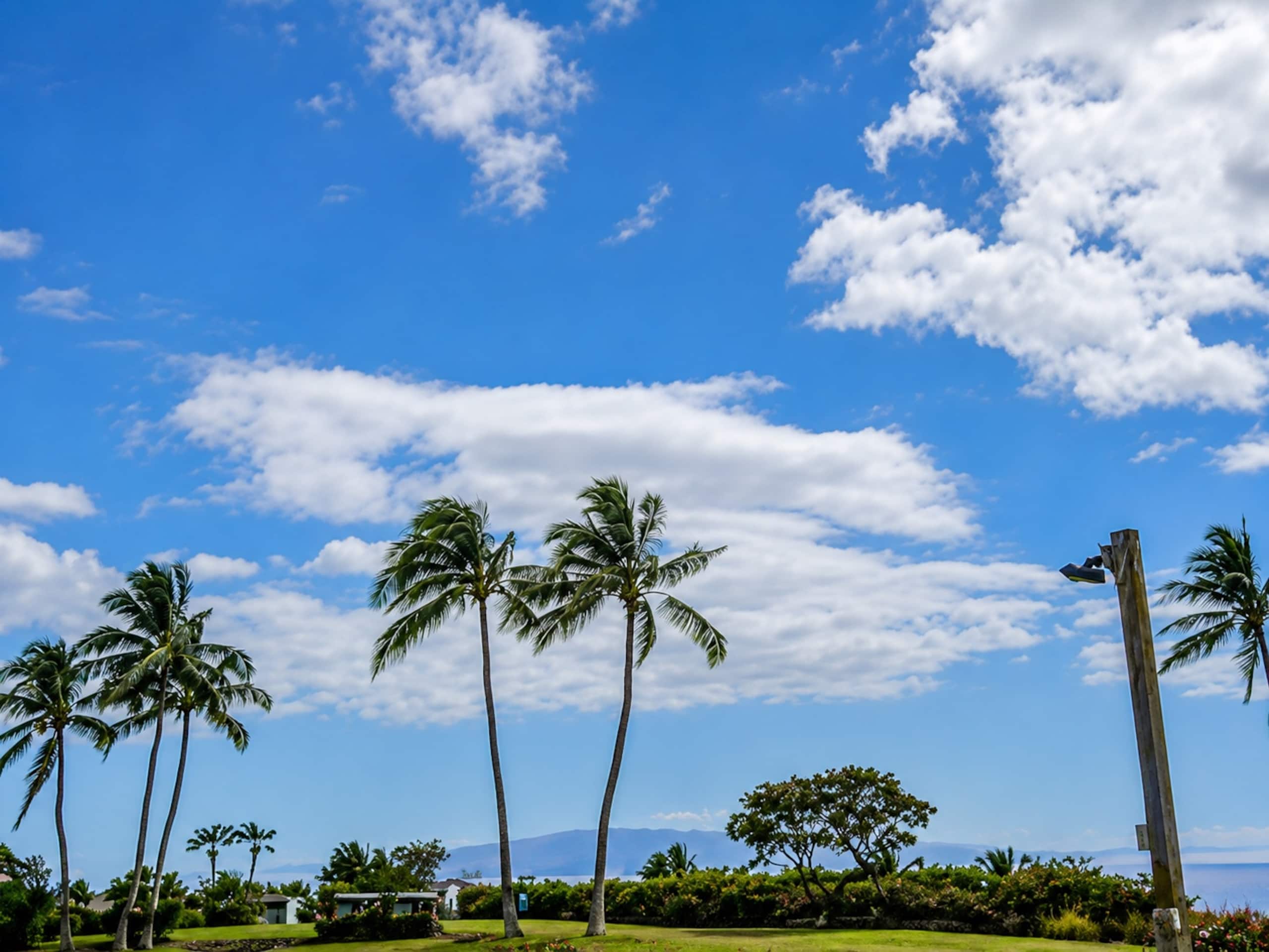 Condo in Kihei · ★4.88 · 2 bedrooms · 2 beds · 2 baths - Image 29