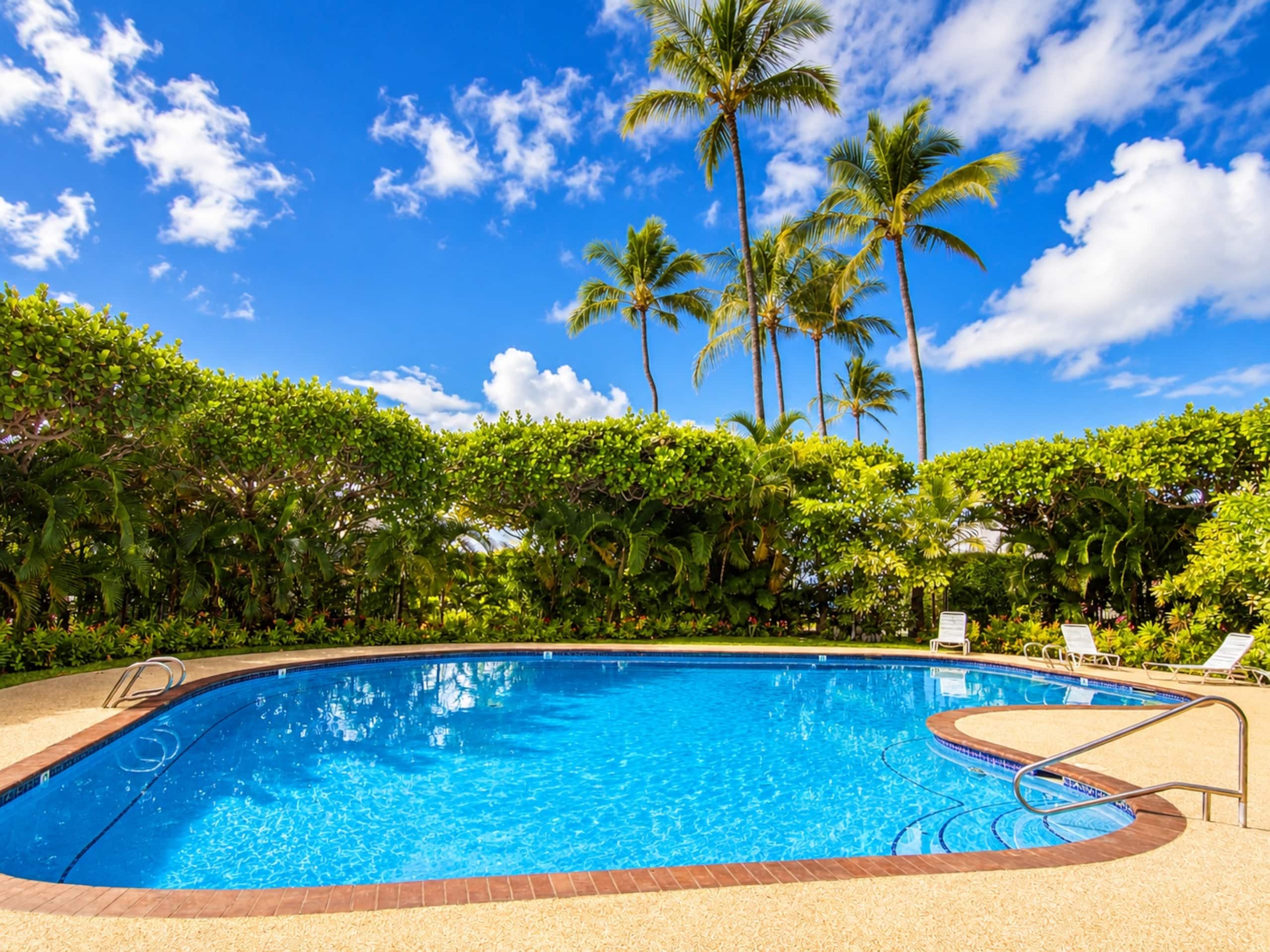 Condo in Kihei · ★4.88 · 2 bedrooms · 2 beds · 2 baths - Image 33
