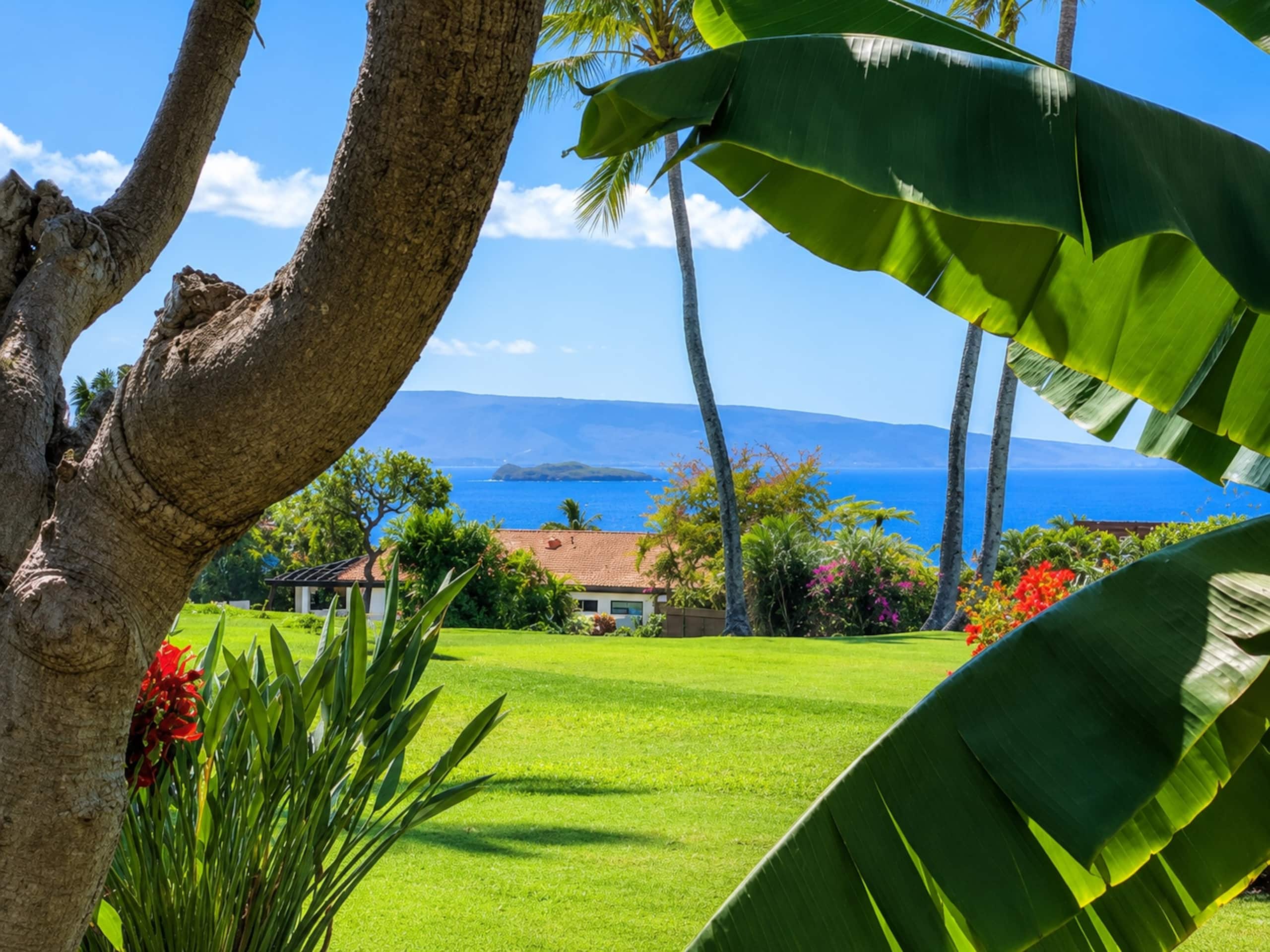 Condo in Kihei · ★4.88 · 2 bedrooms · 2 beds · 2 baths - Image 32