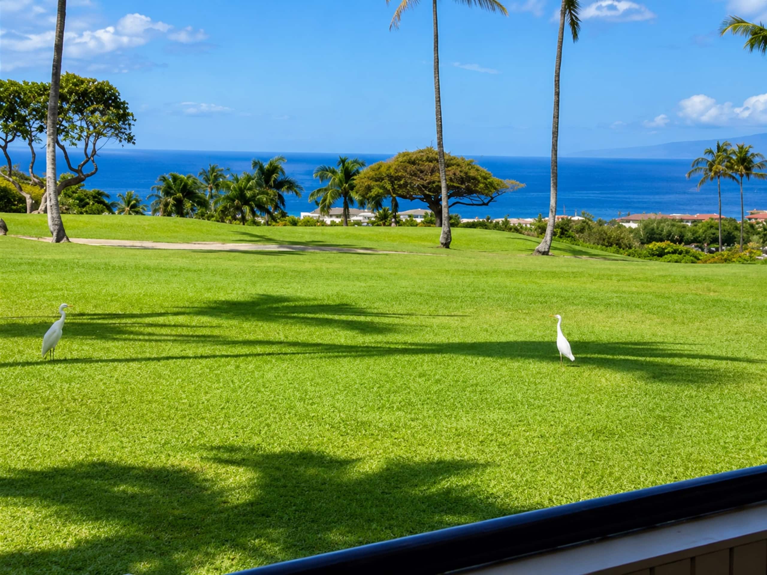 Condo in Kihei · ★4.88 · 2 bedrooms · 2 beds · 2 baths - Image 31
