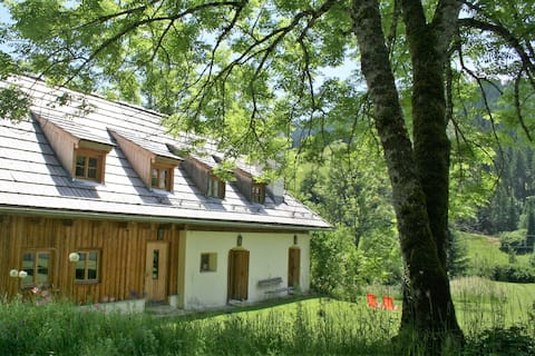 Resi vacation home in Arriach