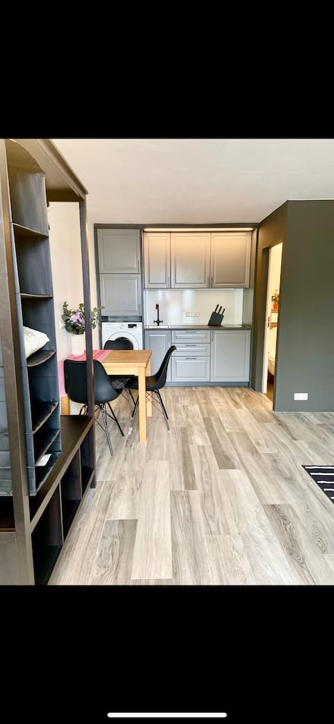 Newly renovated studio near lake Lagarfljót