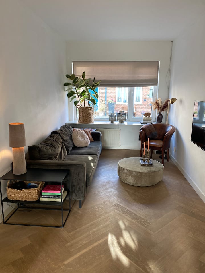 Beachhouse With Garden Near The Sea(50m) - Monster