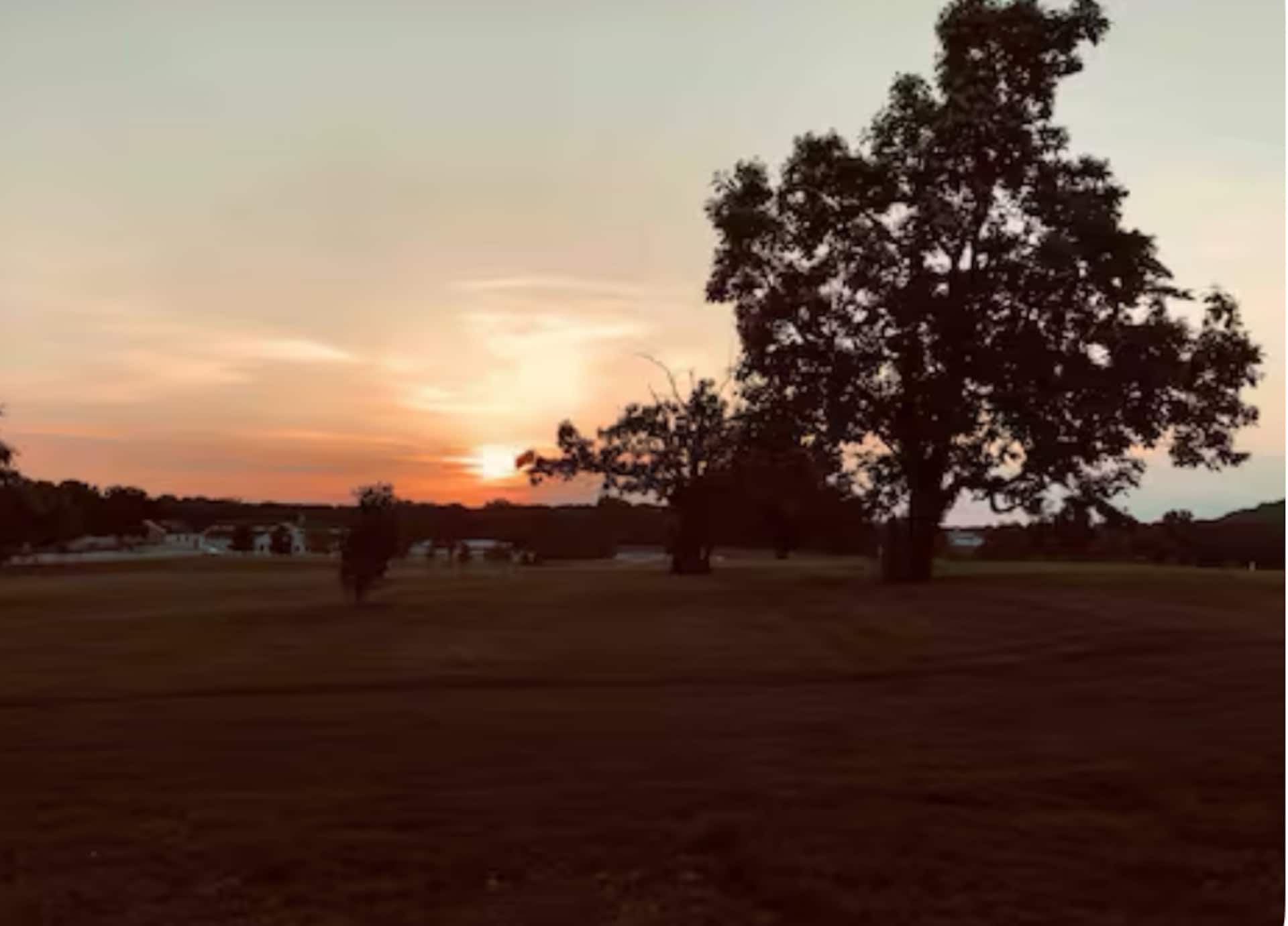 Insane Views & Perfect Sunsets - Porch and Pasture