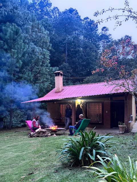 Adobe cottage in the forest