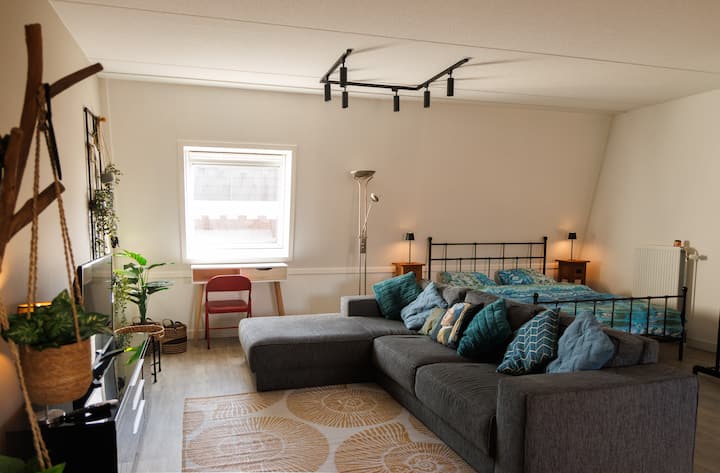 Spacious Apartment Nijmegen Central Location - Nijmegen