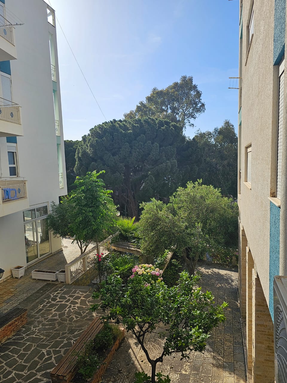A glimpse of the outdoor area shows a paved pathway leading through a garden featuring blooming flowers and lush green trees. Sunlight casts a warm glow on the serene environment, with neighboring buildings visible in the background, creating a peaceful atmosphere.