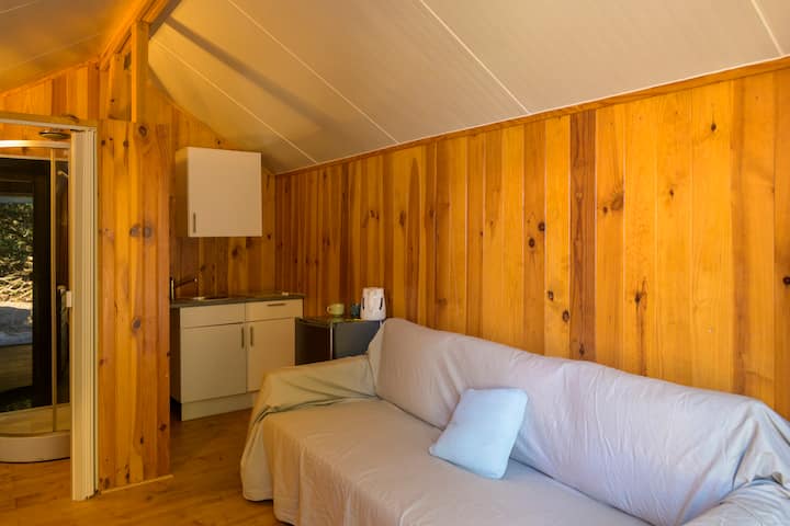 Det selvstændige studie, en sovesofa, et tekøkken, et badeværelse og et toilet, aircondition.