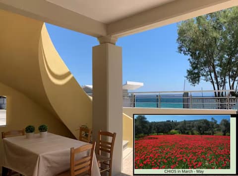 Blue Flag Award Winning Beach: Home 1