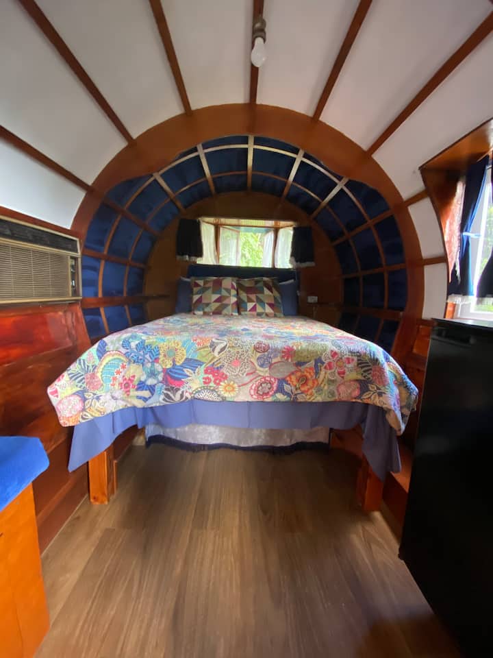 Gypys Queen Wagon - Queensland