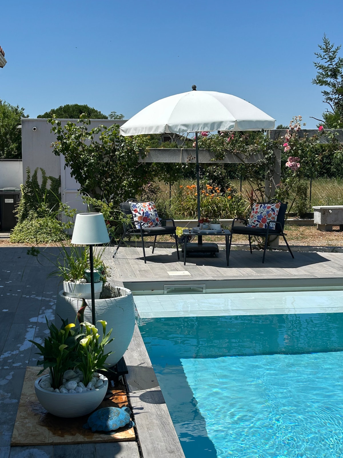 A shared pool area is depicted, featuring a clear blue pool surrounded by a wooden deck. Two chairs with colorful floral cushions are positioned under a large white umbrella, providing shade and comfort. Vibrant flowers and greenery enhance the serene outdoor setting.