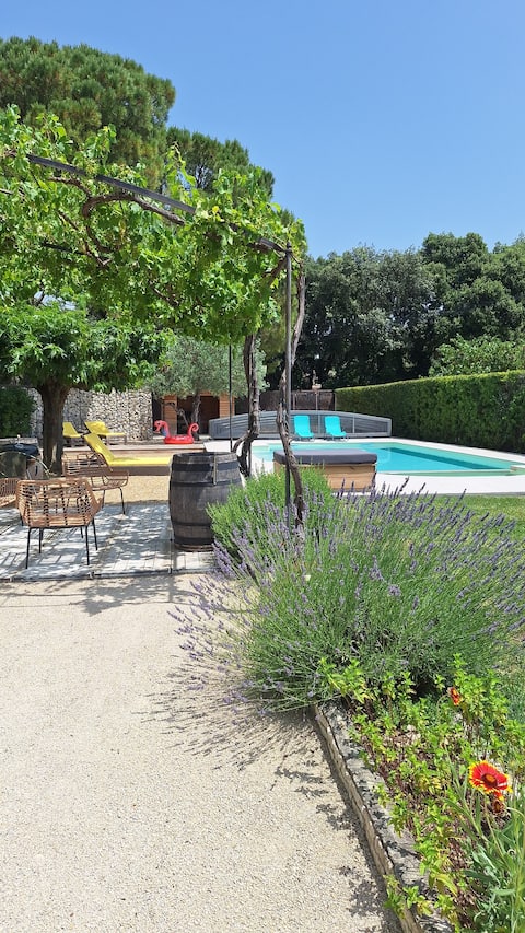 Under the Monteux mulberry tree between Avignon and Mt Ventoux