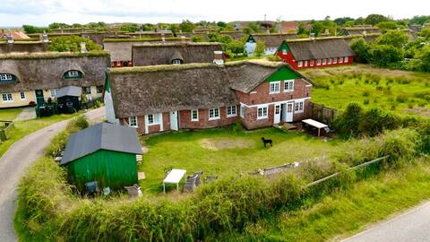 Cozy Fanø house for rent in Sønderho