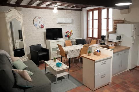 Spacious house in the heart of Chatillon-sur-Loire