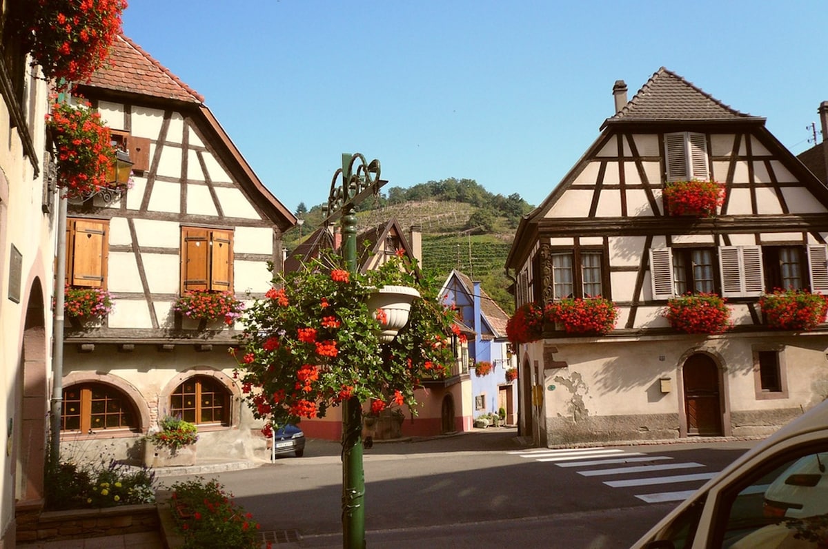 The image showcases charming half-timbered houses with window boxes filled with bright flowers. A quaint street is visible, with a decorative lamppost in the foreground. Lush vineyards are seen in the background against a clear blue sky, contributing to the village's picturesque setting.