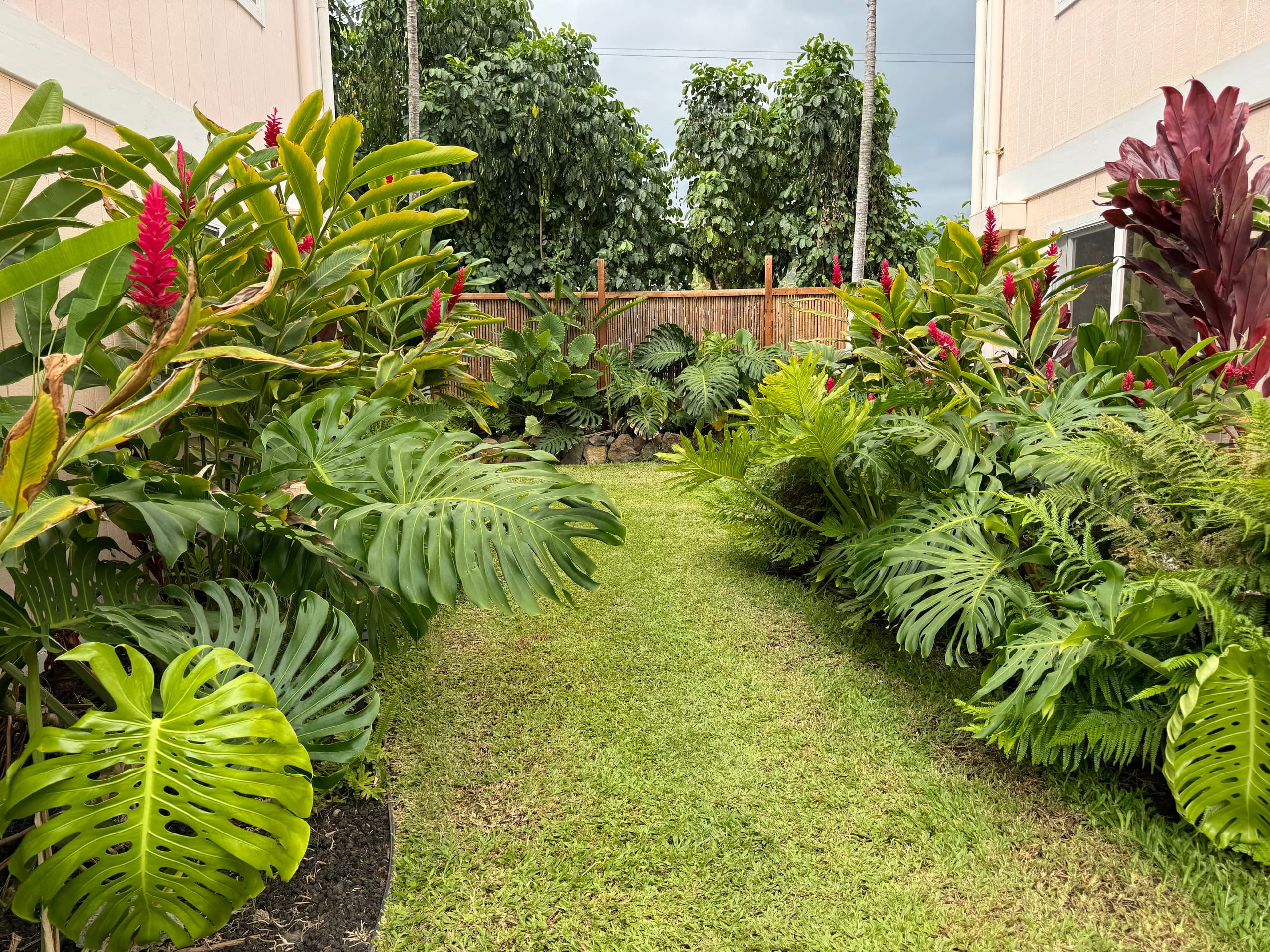 1 Bedrm Apt w/ view near Kona &Magic Sands Beach-C - Photo 11