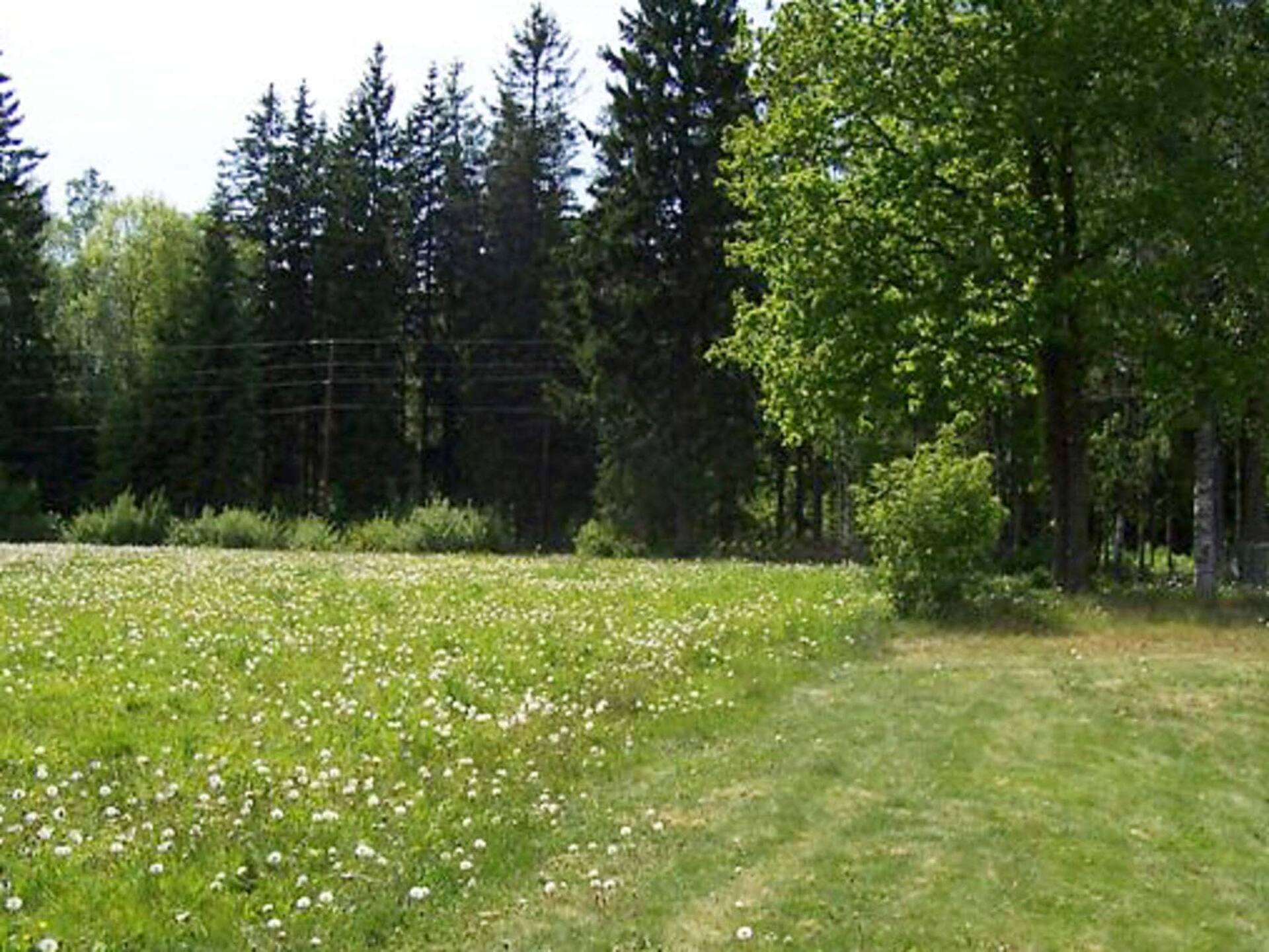 5 person holiday home in Lammhult, Sverige — photo 4