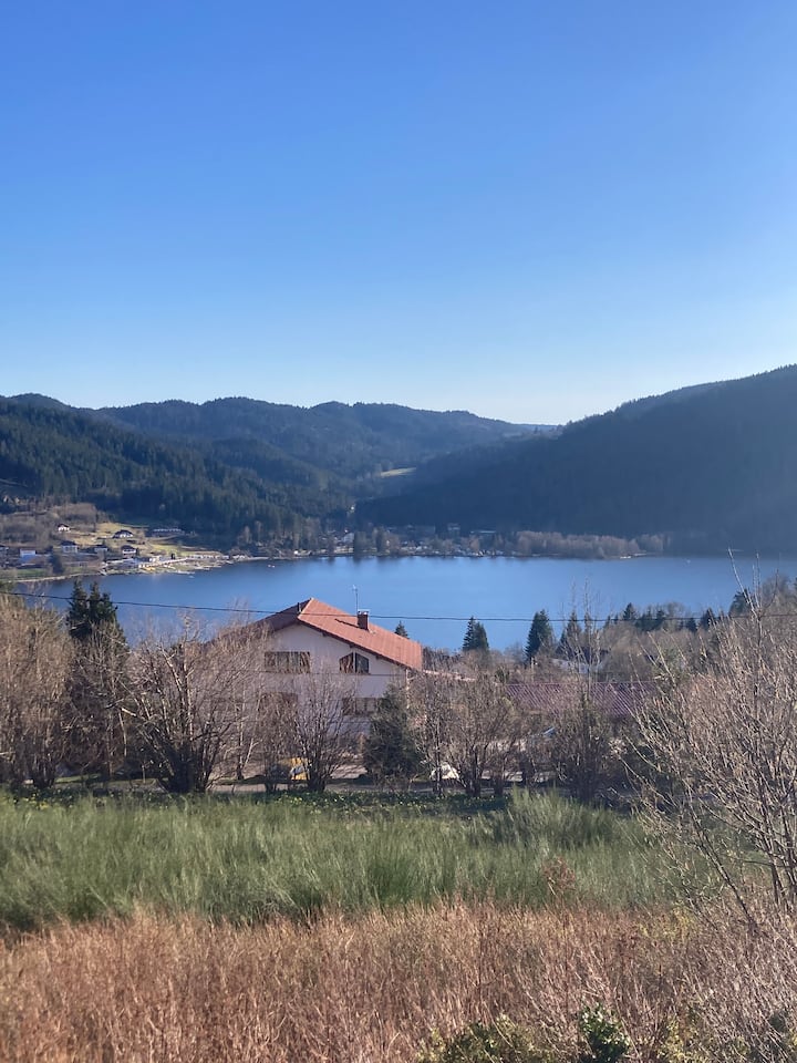 Grande Maison Plein Sud - Vue Sur Le Lac - 9 Pers - Gérardmer
