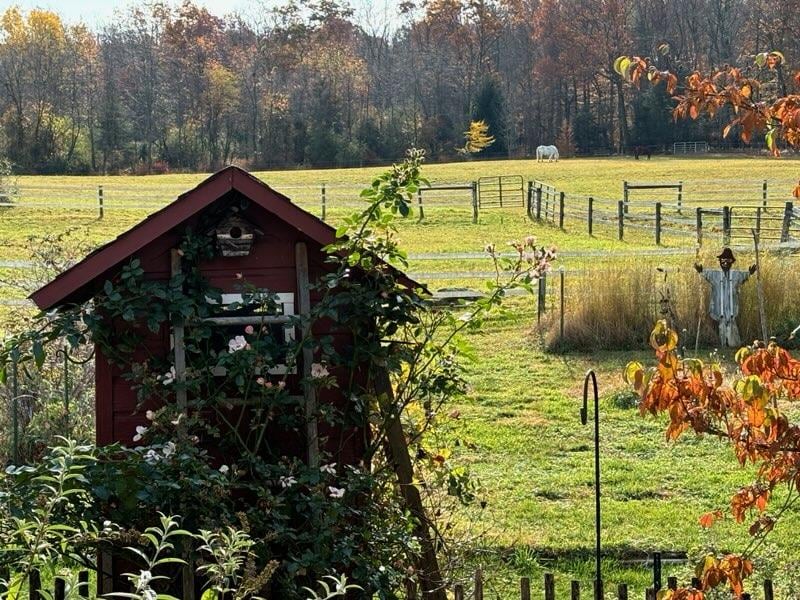 A red garden shed with climbing plants is positioned in the foreground, framed by a rustic fence. A scarecrow stands nearby, while a horse grazes in the distance, surrounded by open fields and a tree line displaying autumn foliage.