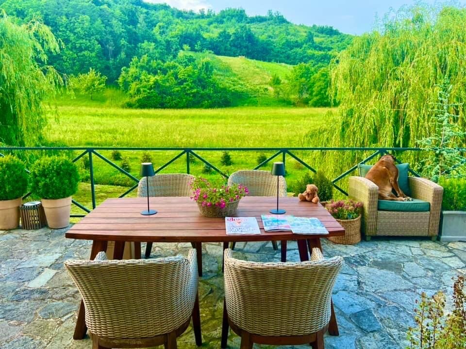 An outdoor terrace features a wooden table surrounded by two wicker chairs. Small potted plants and flowers are placed on the table, while a cozy seating area is set in the corner. Lush green hills create a serene backdrop, complemented by weeping trees.