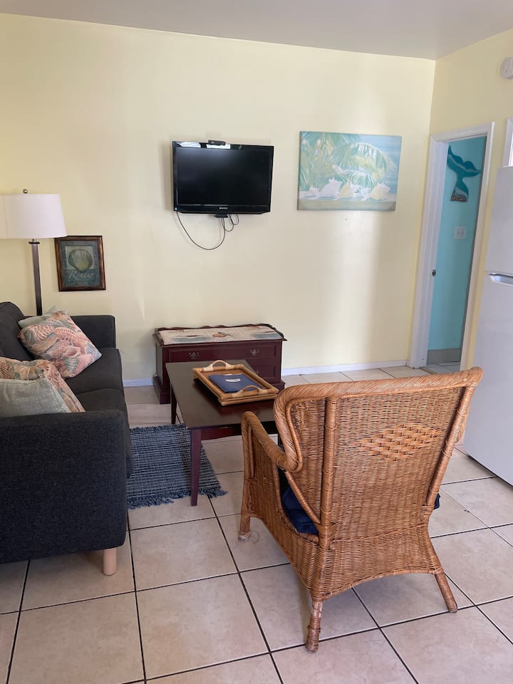 Porch Fun And Sun*block Off The Beach*2bdrm/1ba - First Landing State Park, Virginia Beach