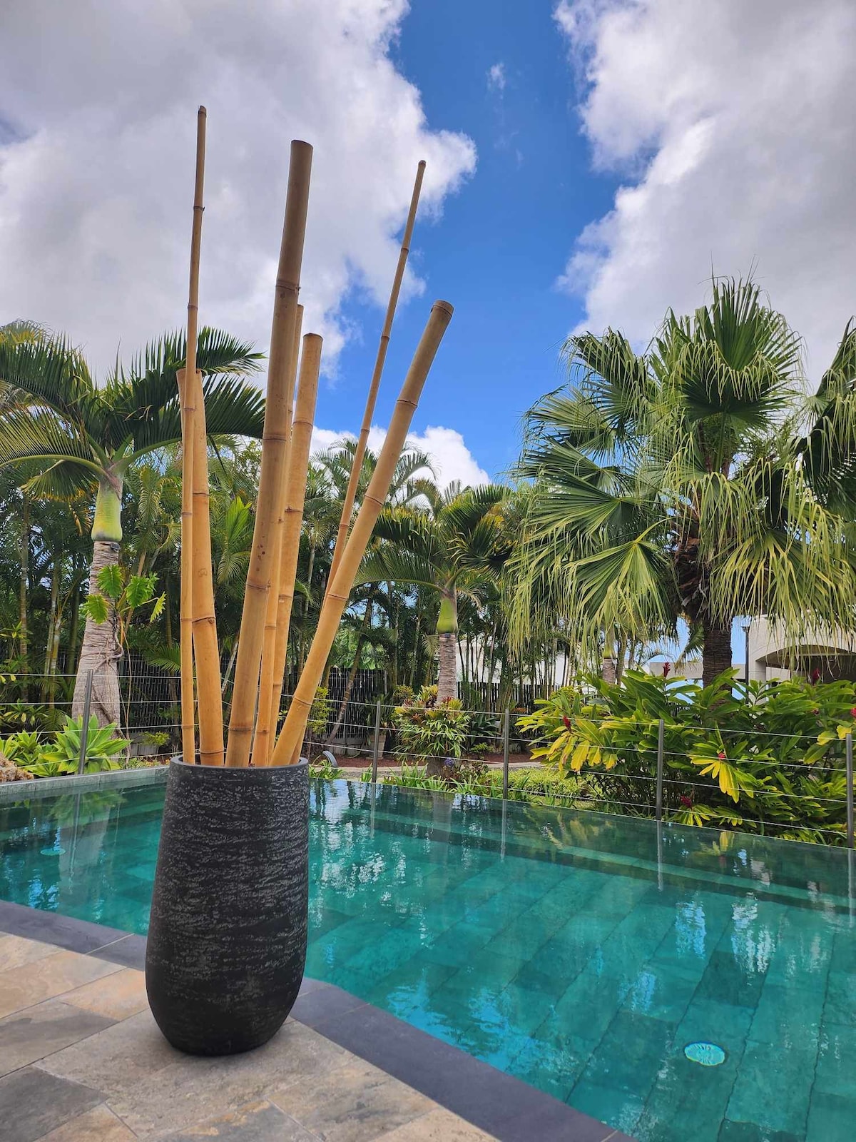 A tall black vase holds several bamboo stalks beside a shimmering pool, surrounded by lush tropical foliage. The clear blue sky is partially filled with soft clouds, enhancing the serene outdoor setting.