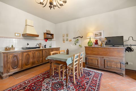 Casa Nespolo  - Cozy farmhouse in Chianti