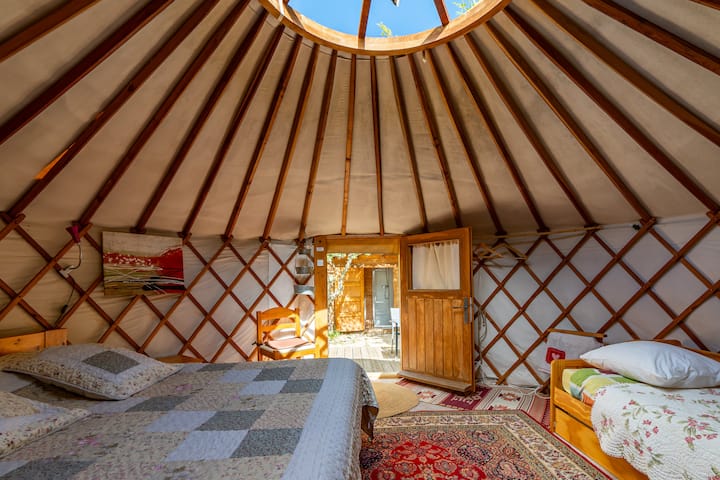 Chambre 6