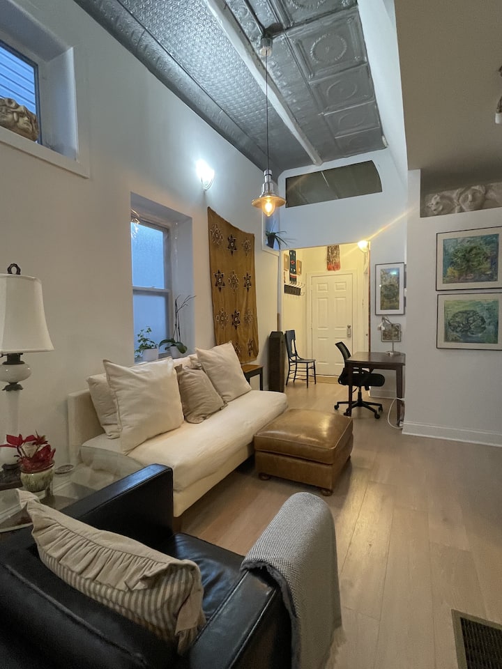 1 Bed Entire Apartment In Pilsen - Chicago