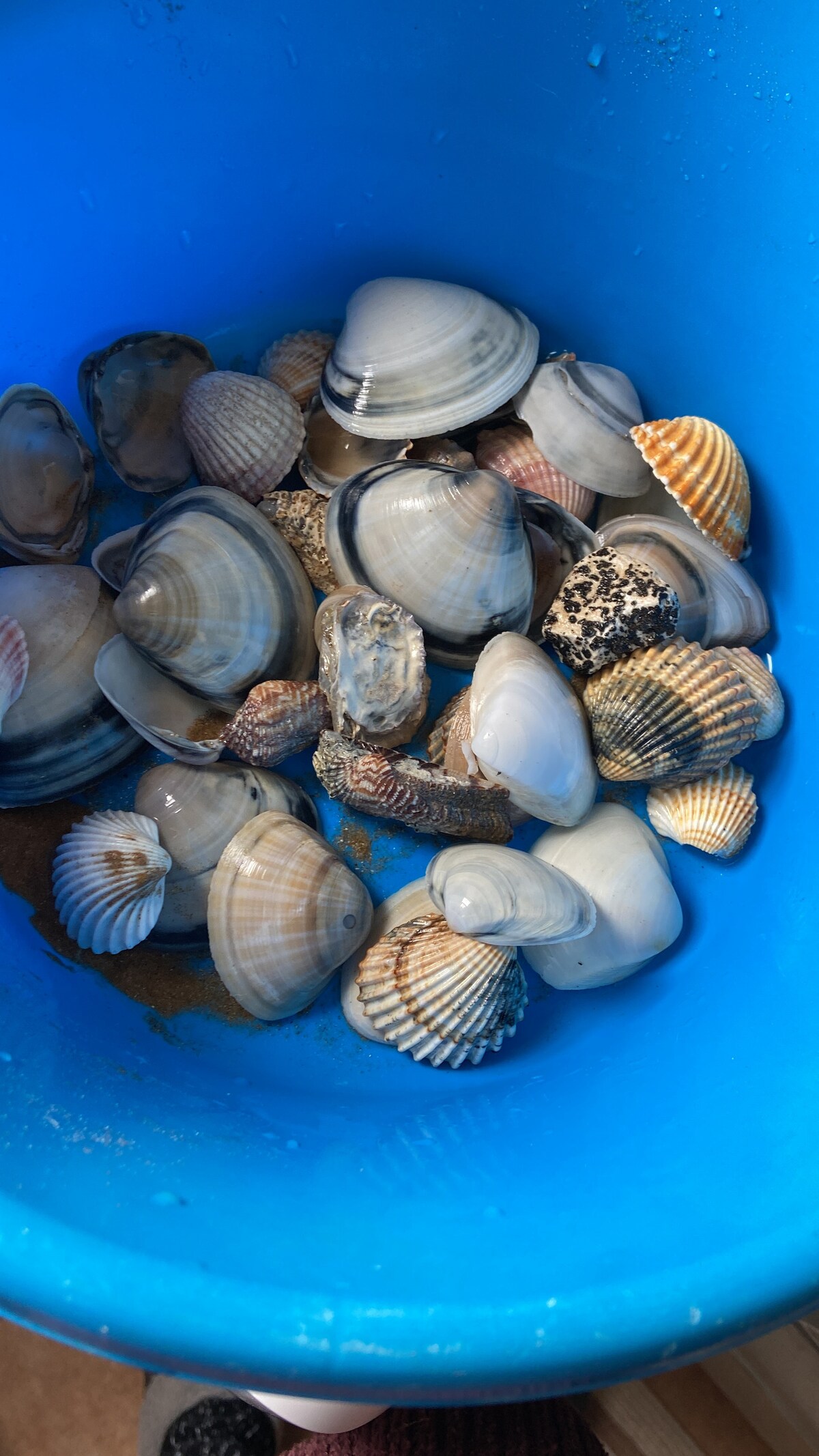 Propriété Airbnb réussie: Delightful attic with every comfort à Ispica