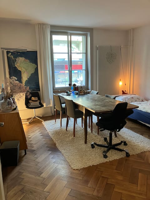 Top performing Airbnb: Cozy apartment with balcony close to Bern centre in Mattenhof