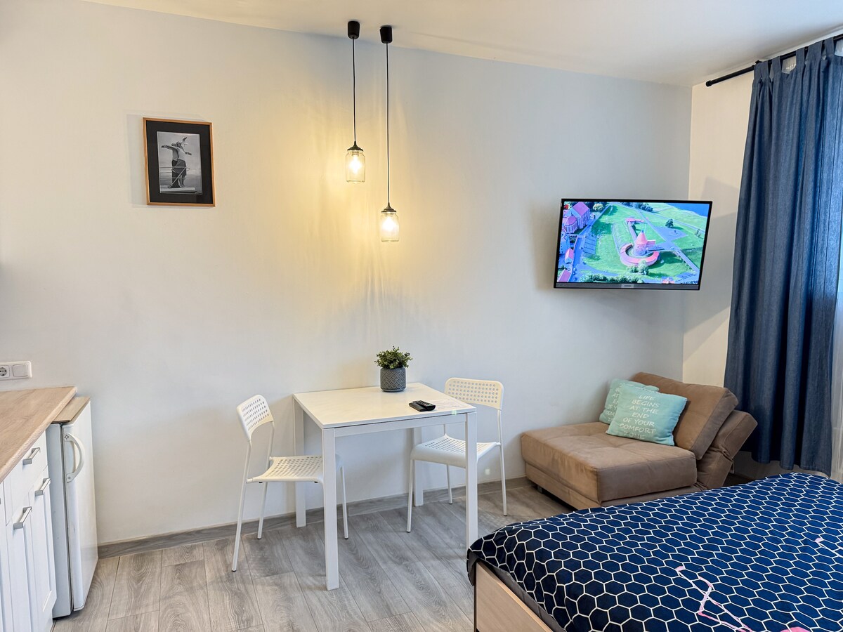A studio flat features modern furnishings with a cozy seating area, a small dining table with two chairs, and a wall-mounted TV. A comfortable bed is positioned adjacent to a window covered by dark curtains, while a plant adds a touch of greenery to the space.