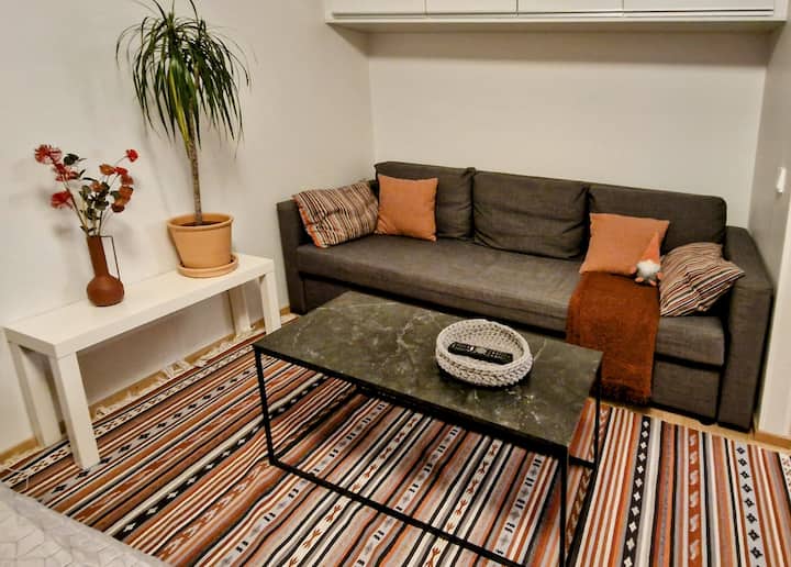 Spacious Studio In The Heart Of The City - Tampere