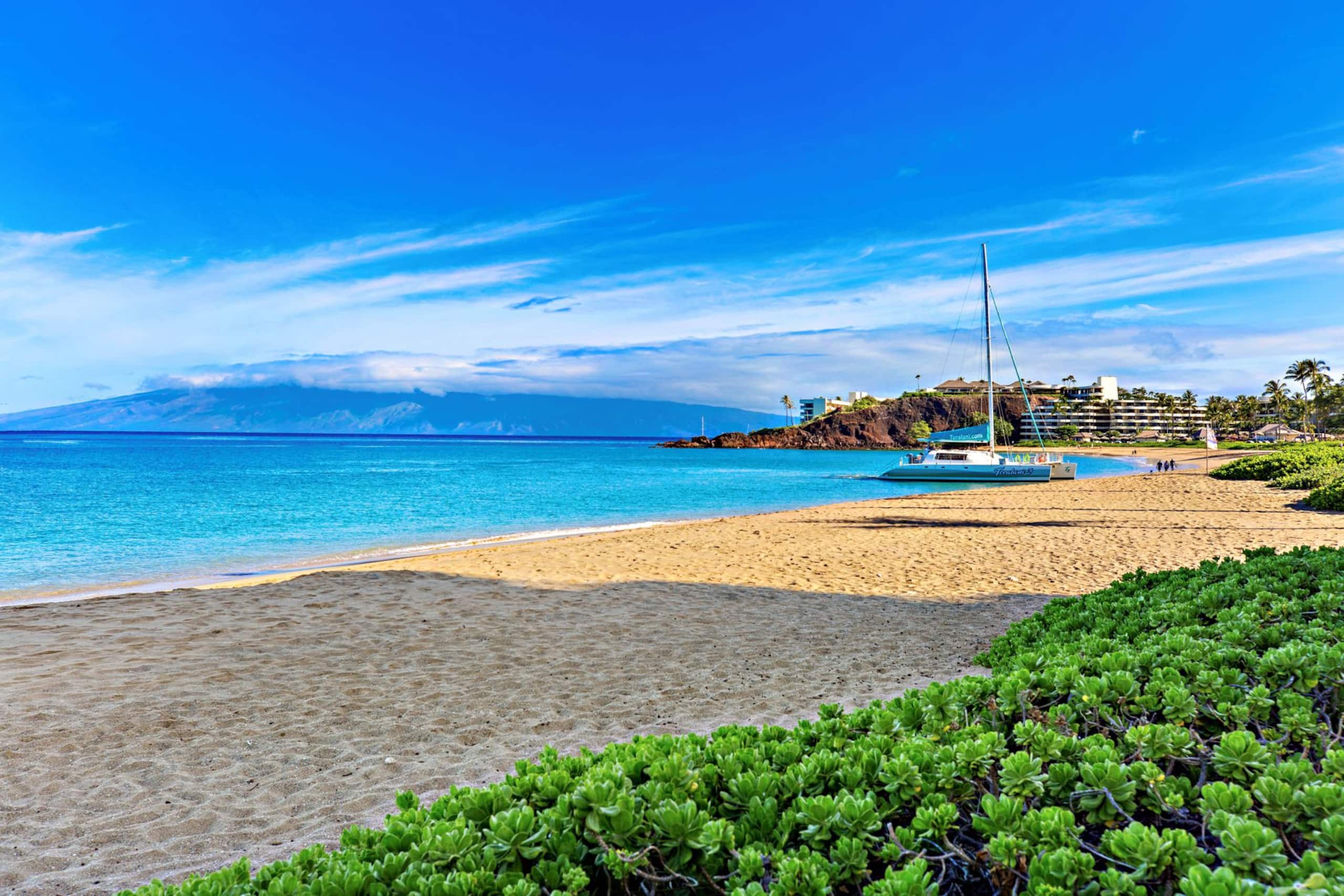 Condo in Lahaina · ★4.88 · Studio · 1 bath - Image 35