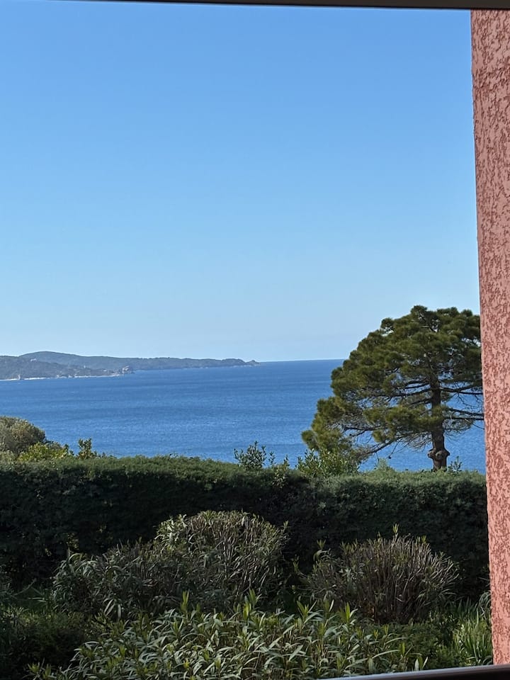 T2 Vue Imprenable Sur Le Golfe De Saint Florent - Saint-Florent