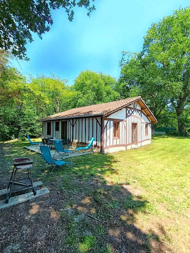 Mimizan La Plage à 10mn - Maison Baschoc - Mimizan