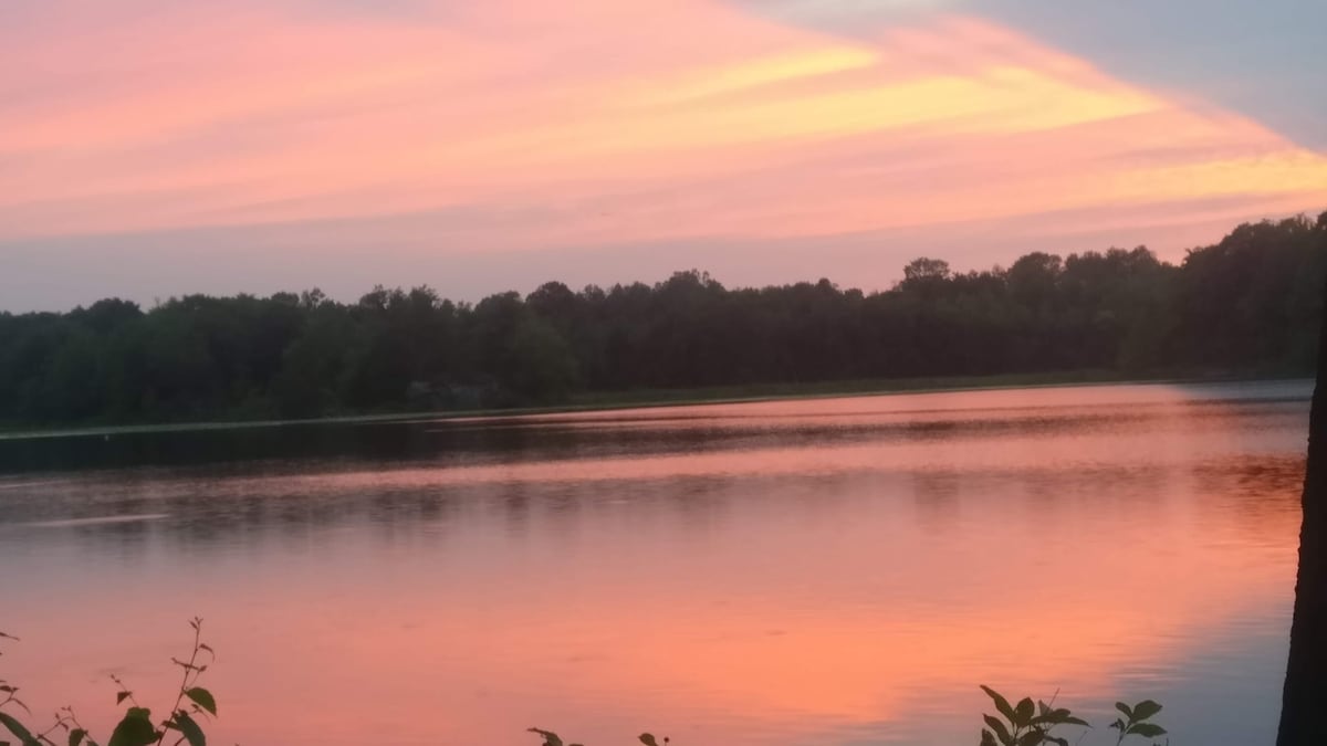 A serene lake is captured at sunset, with soft pastel colors reflecting on the water's surface. Surrounding trees and greenery frame the scene, enhancing the natural beauty of the tranquil environment.