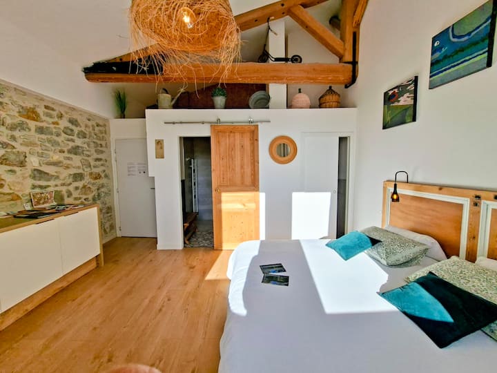Narbonne : Villa Sainte Marie, Chambre Côté Terre - Narbona