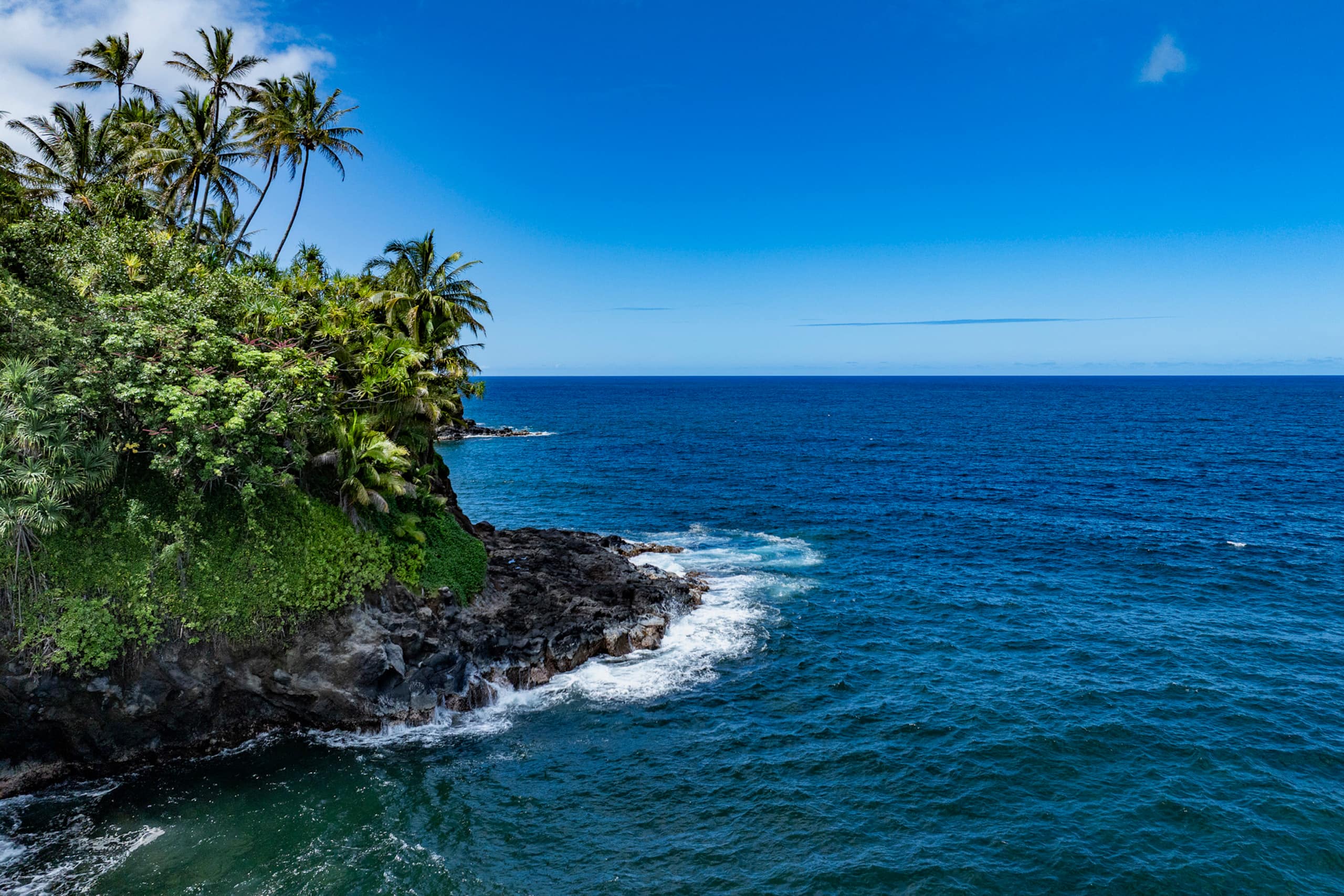 Home in Hilo · ★5.0 · 3 bedrooms · 4 beds · 2 baths - Image 33