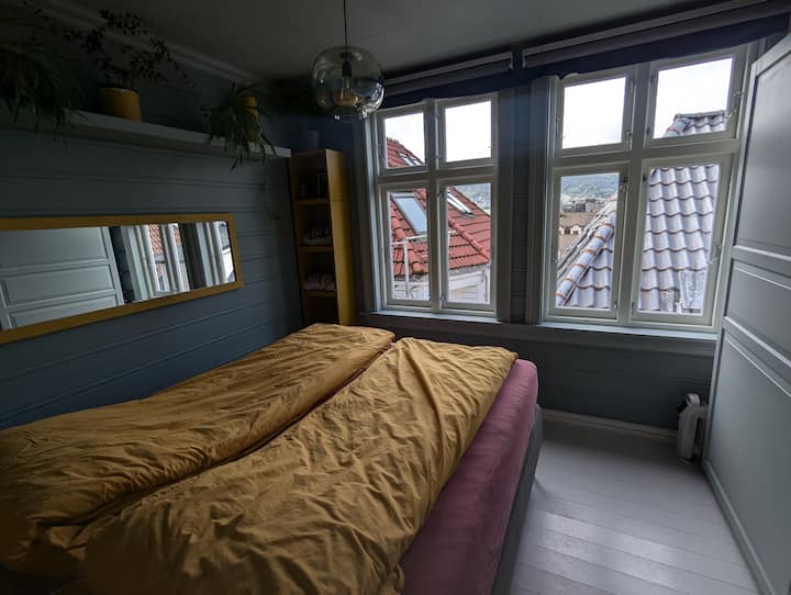 Dritaret kanë grila elektrike, kështu që nuk duhet të ngrihesh në këmbë në mëngjes, thjesht përdor telekomandën dhe shijo pamjen e qytetit ☺️