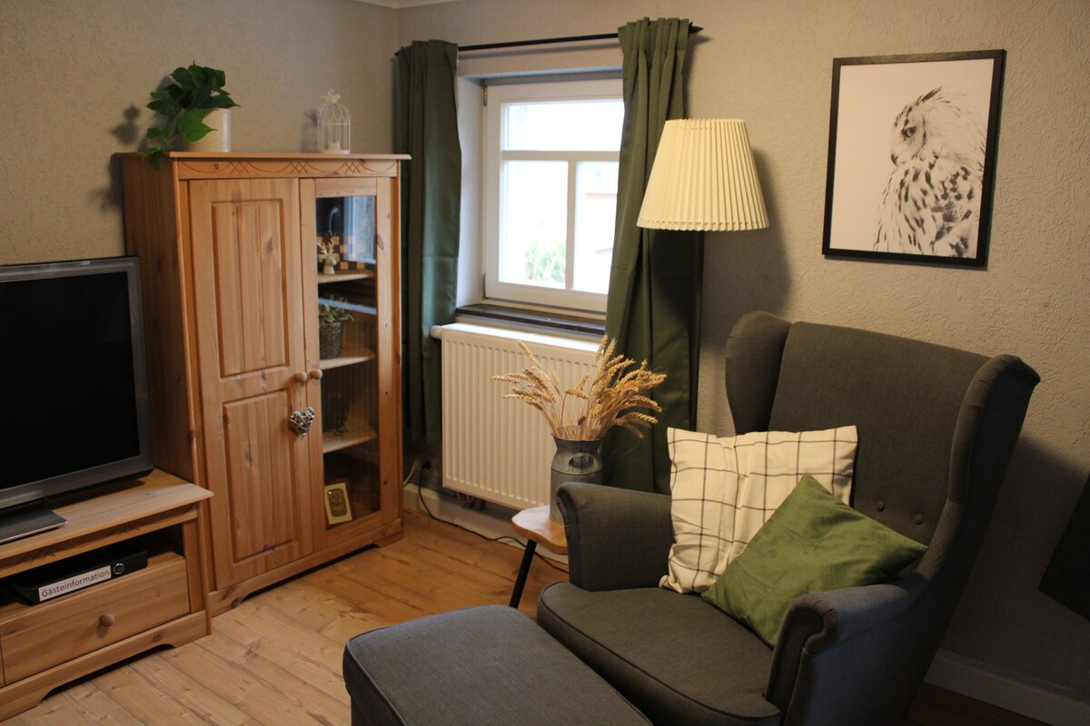 Popular Airbnb listing: Country house apartment - SAUNA, balcony, Netflix, parking. in Bad Schandau