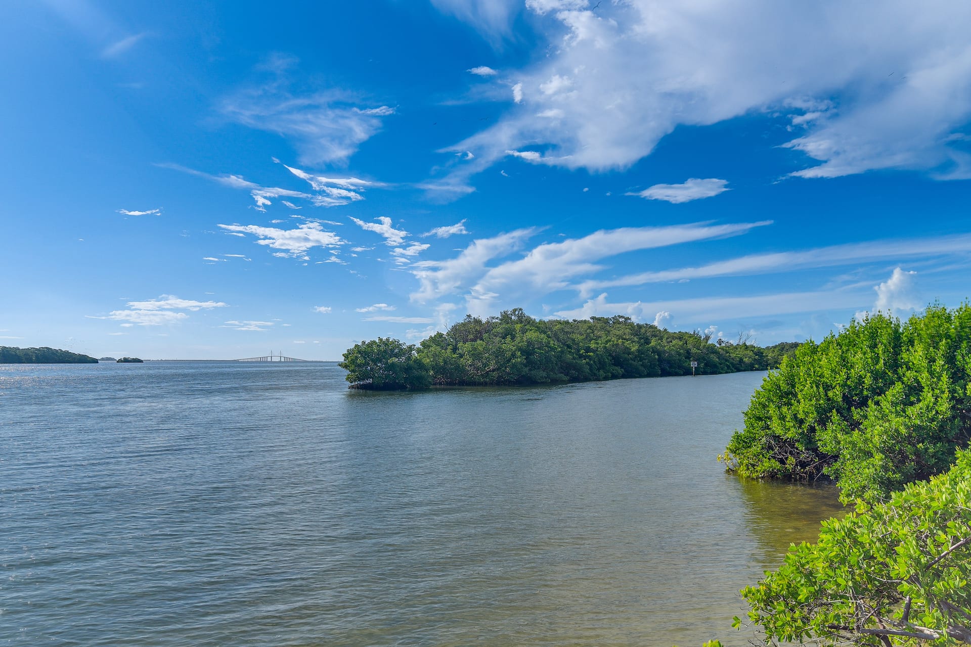 Ocean Views + Pool Access: Tierra Verde Condo! — zdjęcie 5
