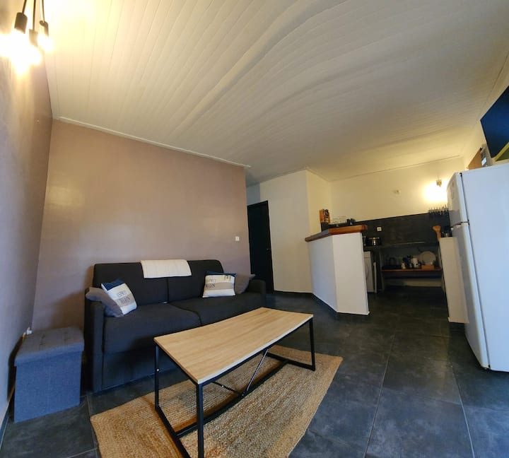 Loue 2 F2 + Piscine, Sejour Famille Ou Entre Amis - Saint-Leu