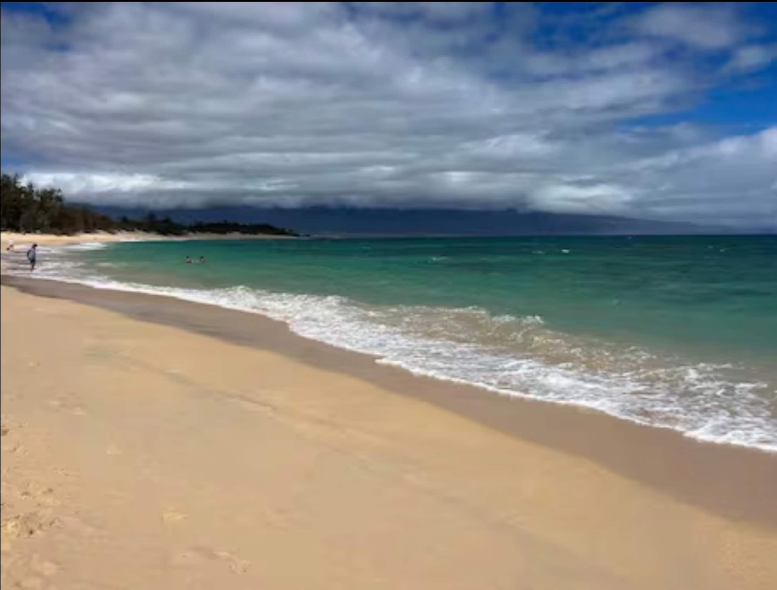 Condo in Wailuku · ★4.87 · 1 bedroom · 1 bed · 1 private bath - Image 3